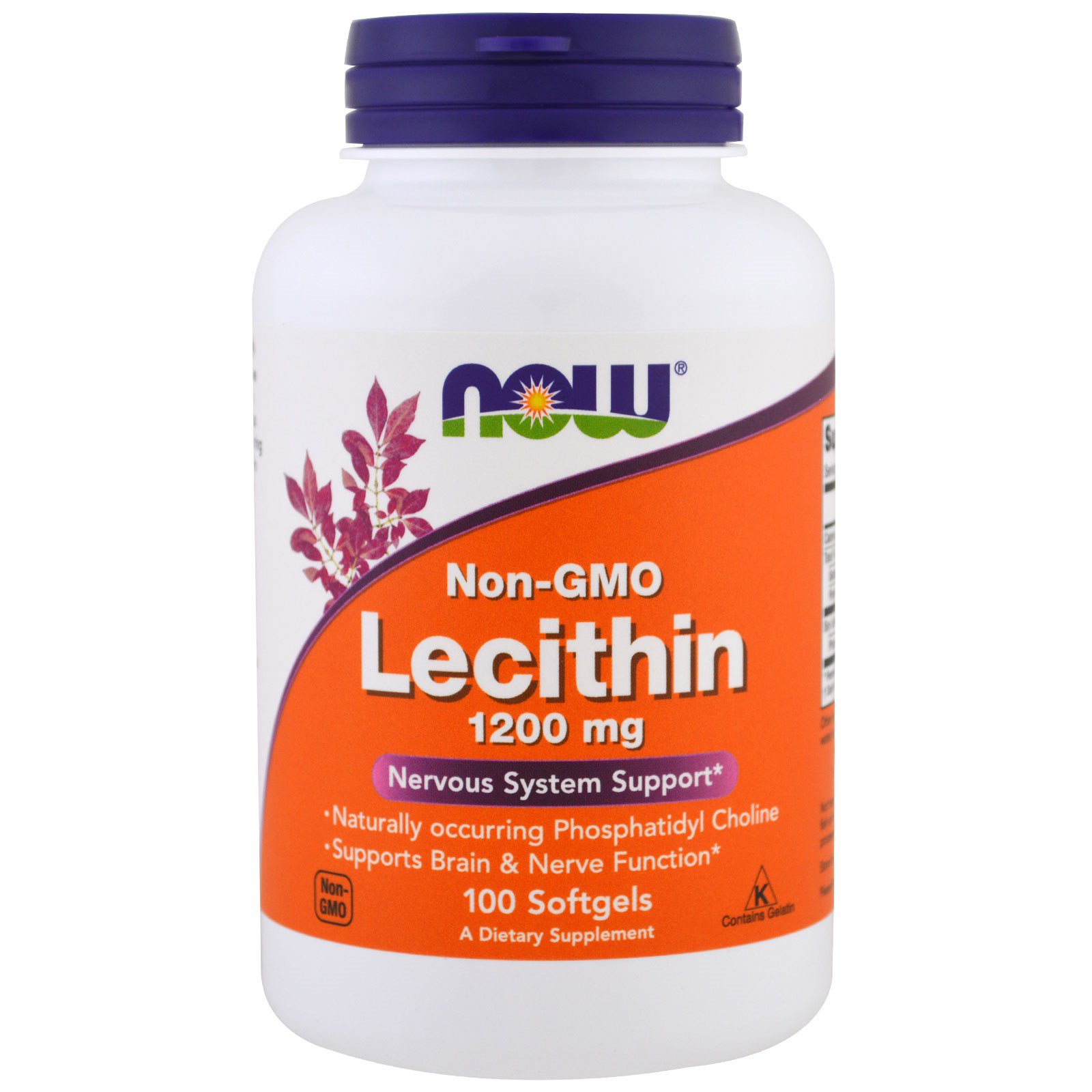 레시틴, Non-GMO, 1200 mg, 100 소프트젤