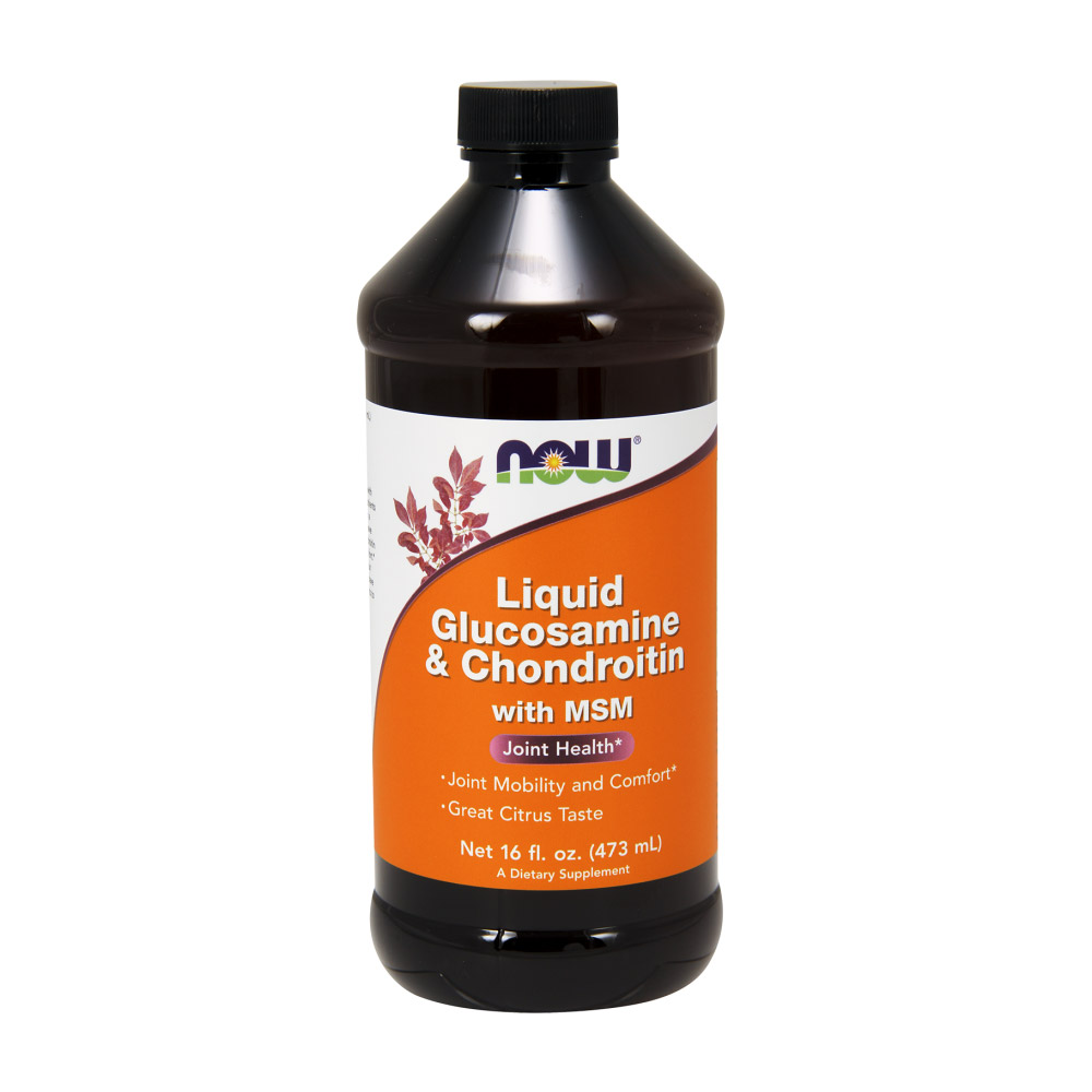 Glucosamine & Chondroitin with MSM Liquid - 16 fl. oz.