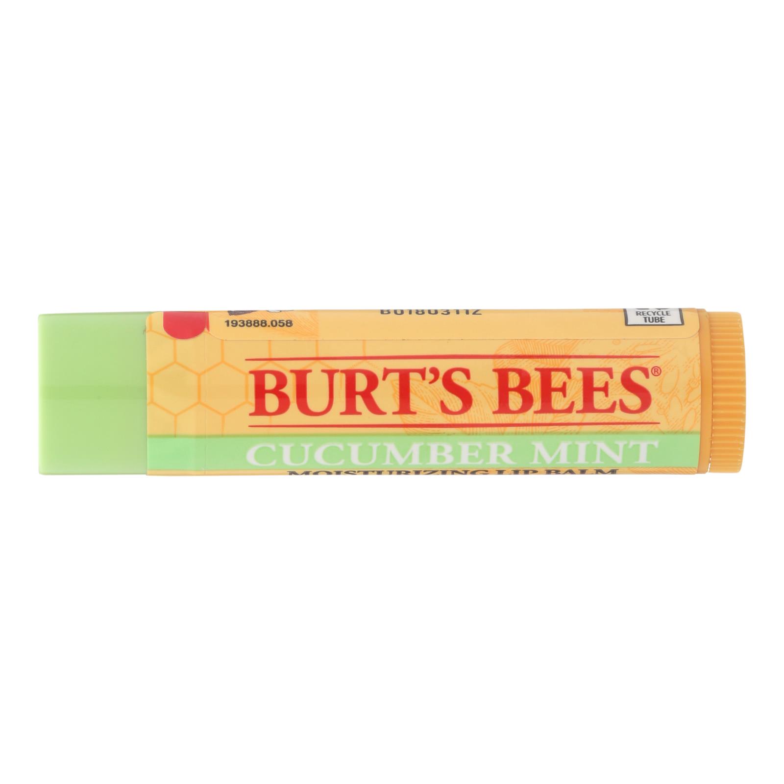 Burts Bees - Lip Balm Cucumber Mint - 12개 묶음상품 - 0.15 OZ